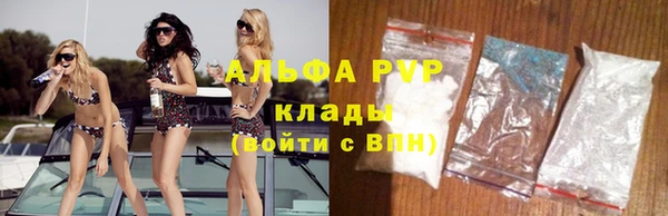 стаф Абинск