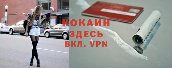 стаф Абинск