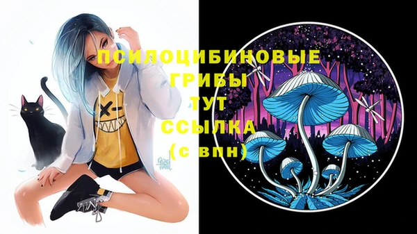 PSILOCYBIN Абдулино