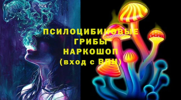 винт Абаза