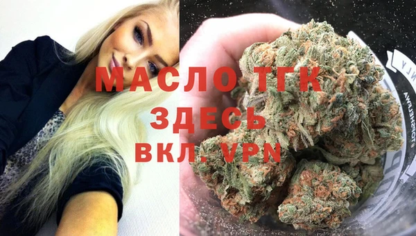 стаф Абинск