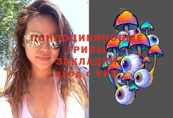 винт Абаза