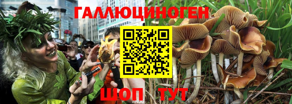 Псилоцибиновые грибы MAGIC MUSHROOMS Ялуторовск