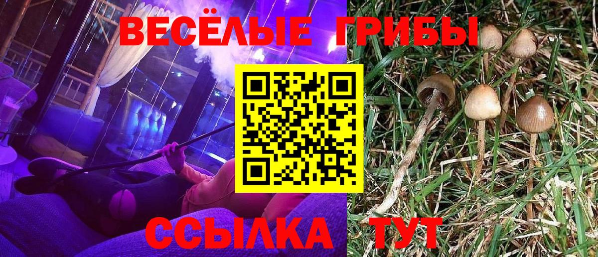 Псилоцибиновые грибы Psilocybine cubensis  Псилоцибиновые грибы MAGIC MUSHROOMS  Вход с VPN  Ялуторовск 